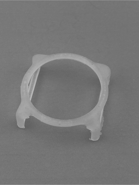 Swatch Accessories - Swatch Watch Guard Too - Translucent - Large